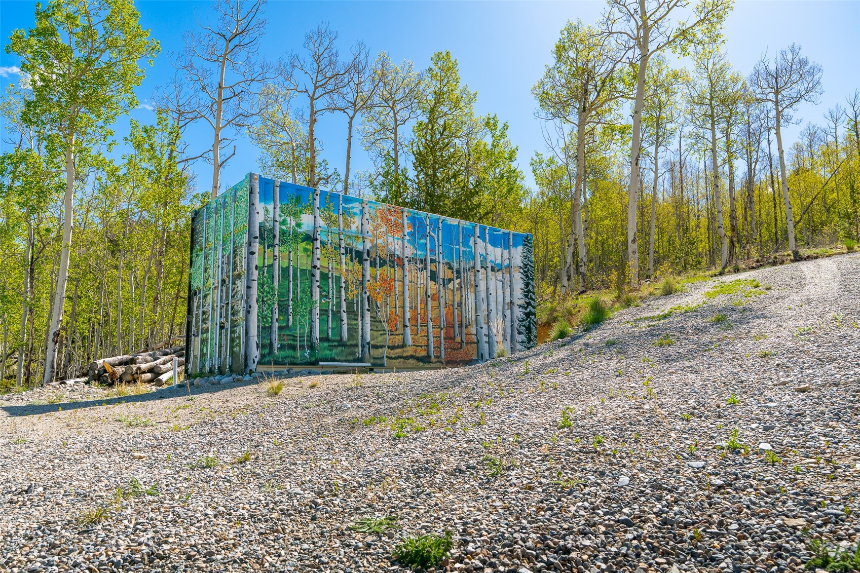 1023 Mexican Ridge Circle Como CO 80432