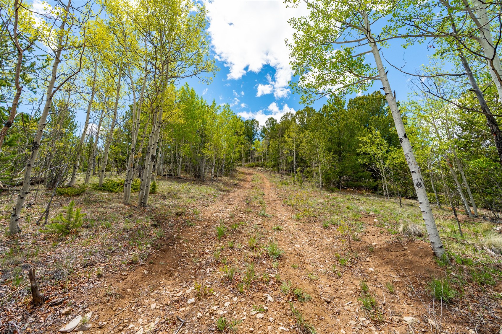 1023 Mexican Ridge Circle Como CO 80432