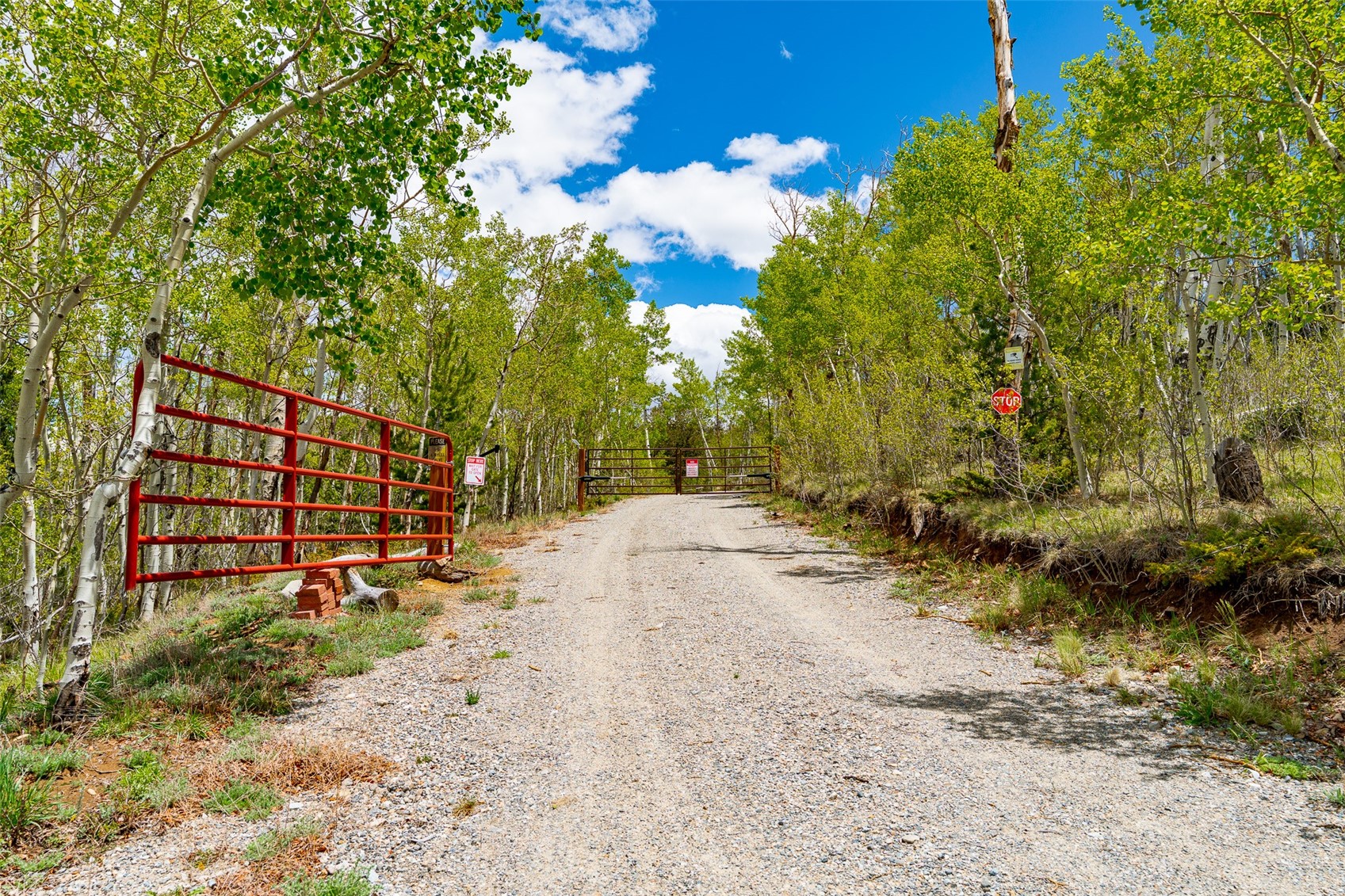 1023 Mexican Ridge Circle Como CO 80432