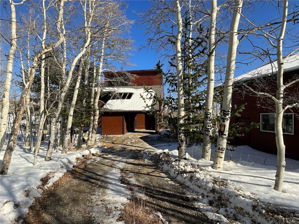 2584 High Creek Road Fairplay CO 80440