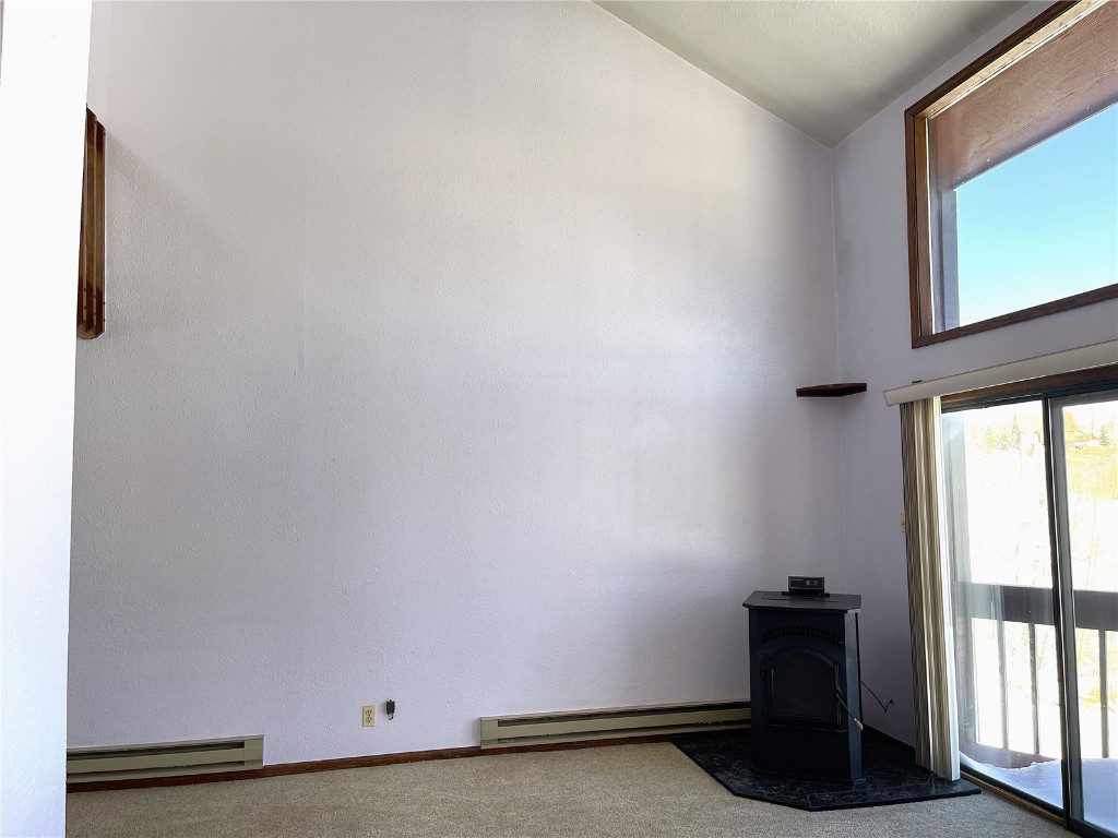 2584 High Creek Road Fairplay CO 80440