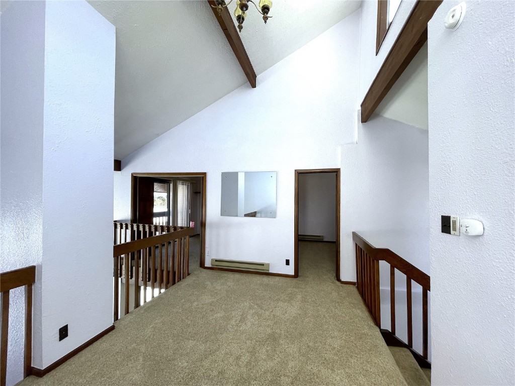 2584 High Creek Road Fairplay CO 80440