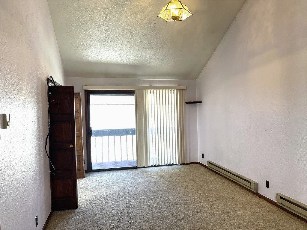 2584 High Creek Road Fairplay CO 80440