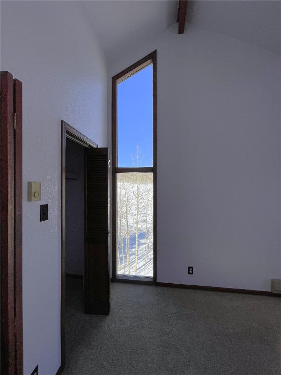 2584 High Creek Road Fairplay CO 80440