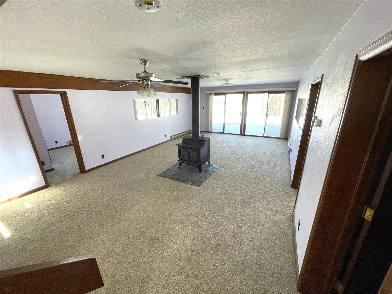 2584 High Creek Road Fairplay CO 80440