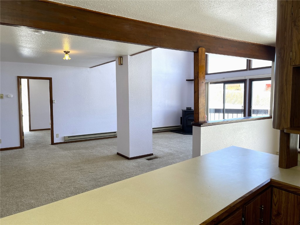 2584 High Creek Road Fairplay CO 80440