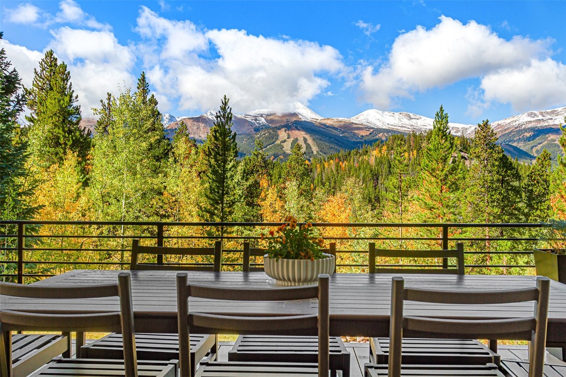1031 Boreas Pass Road Breckenridge CO 80424
