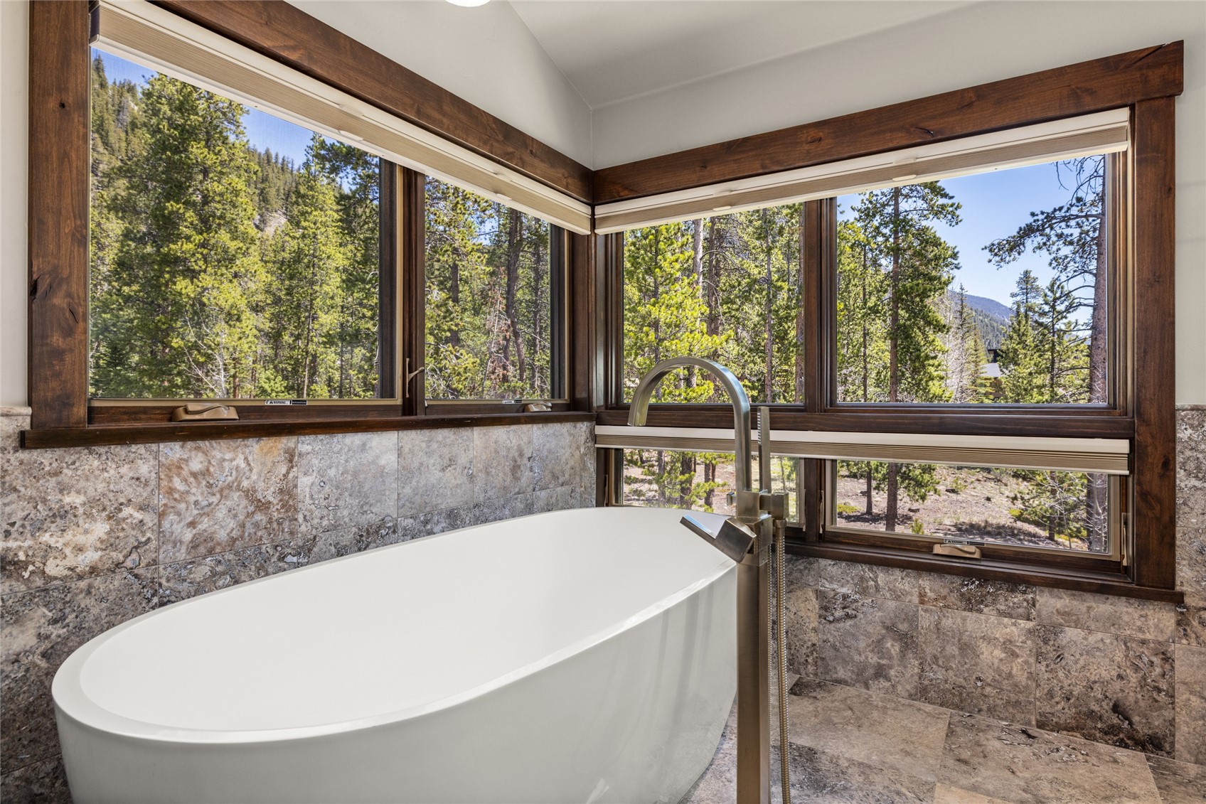 70 Tieze Lane Keystone CO 80435