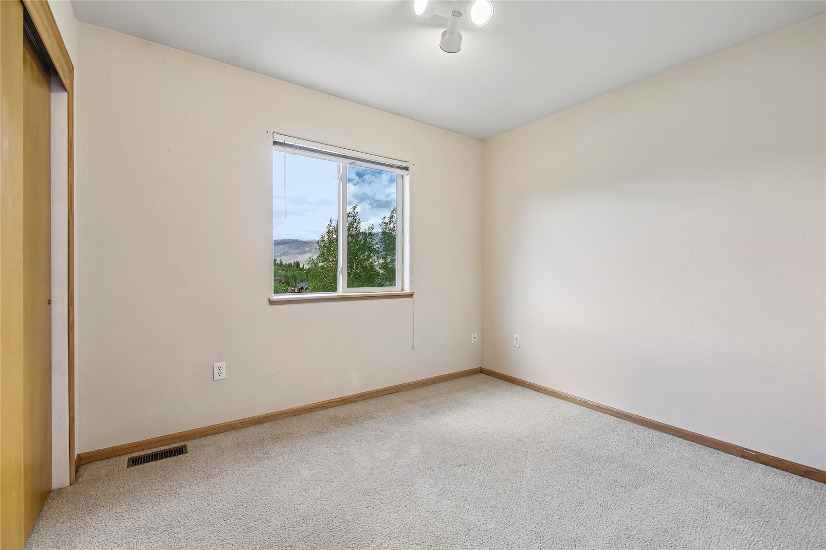 171 Buffalo Drive Silverthorne CO 80498