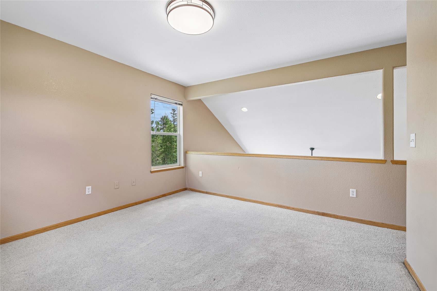 171 Buffalo Drive Silverthorne CO 80498