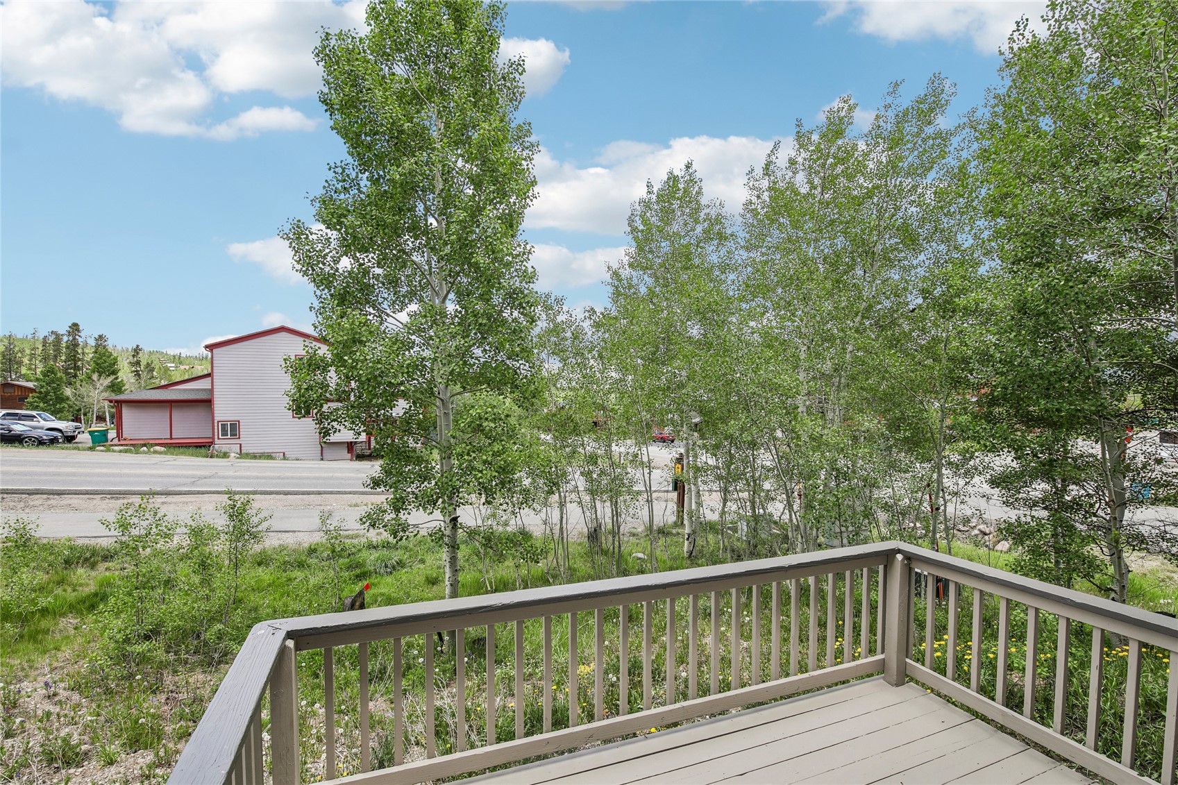 171 Buffalo Drive Silverthorne CO 80498