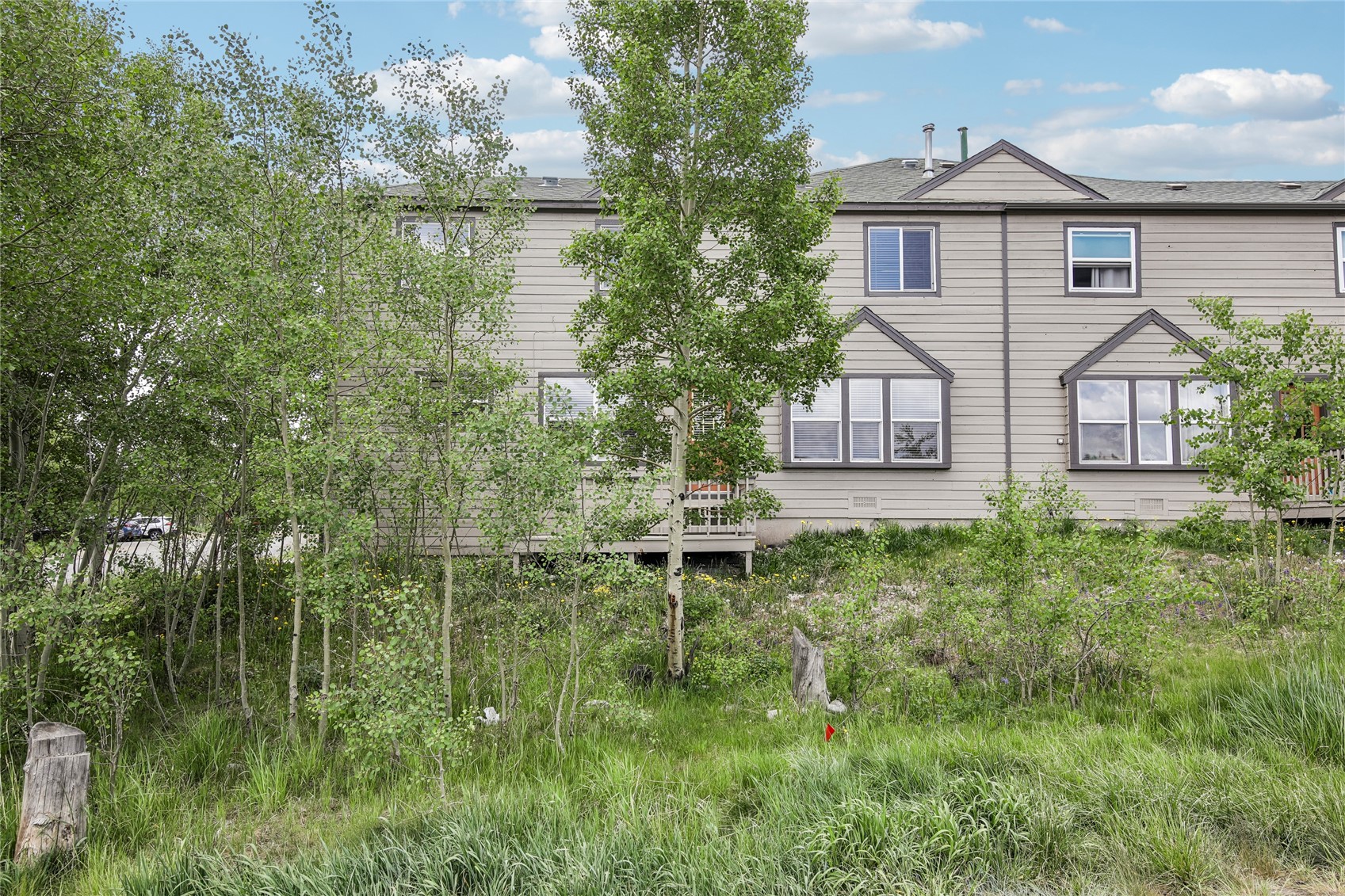 171 Buffalo Drive Silverthorne CO 80498