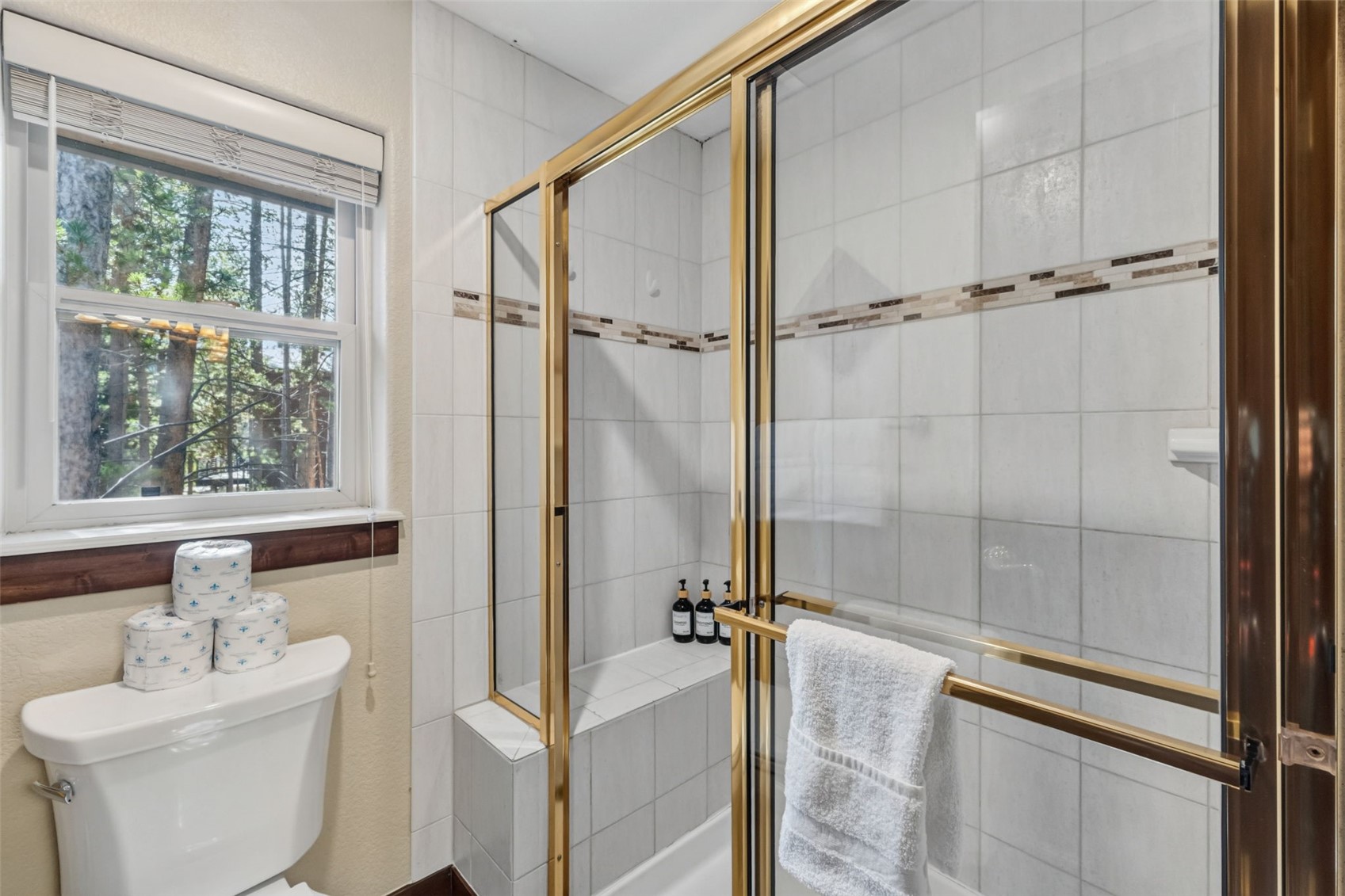 56 Burntwood Lane Breckenridge CO 80424