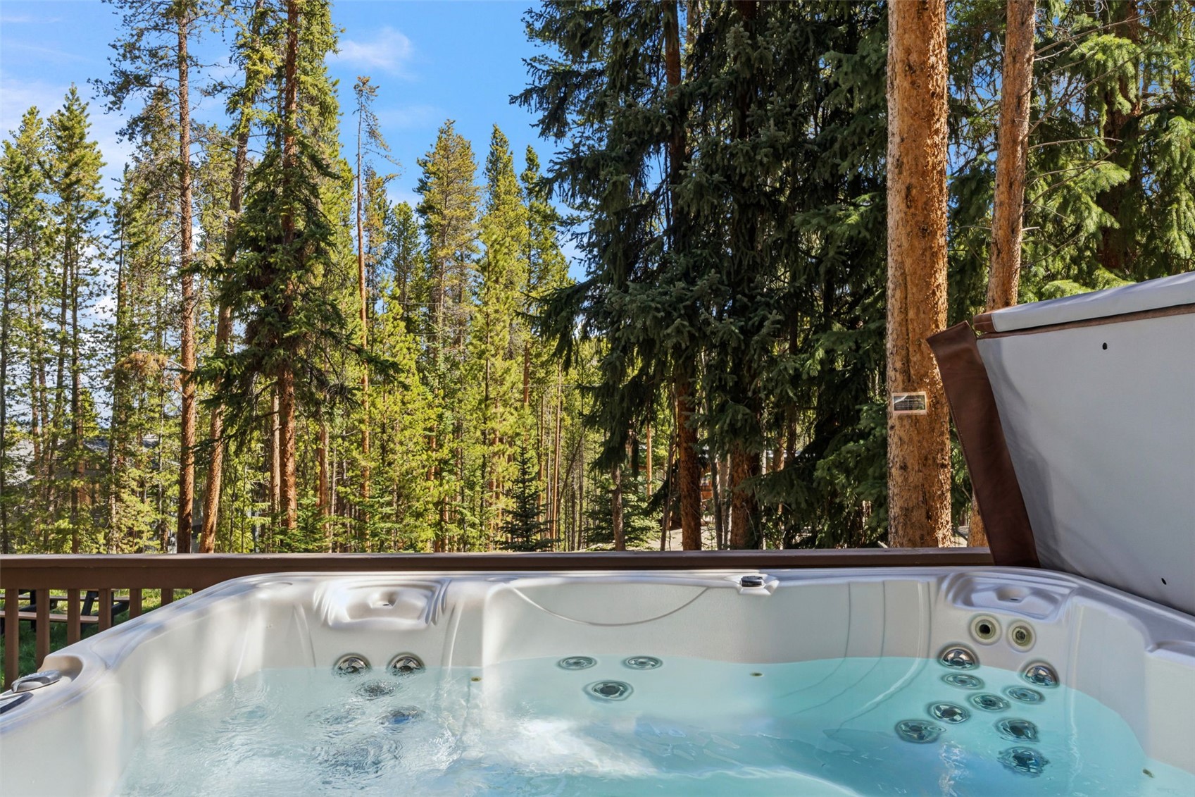 56 Burntwood Lane Breckenridge CO 80424