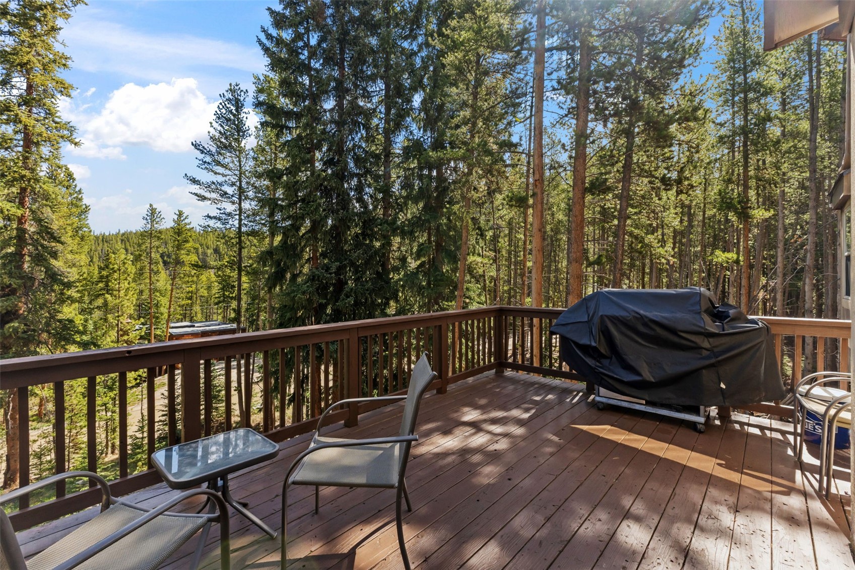 56 Burntwood Lane Breckenridge CO 80424