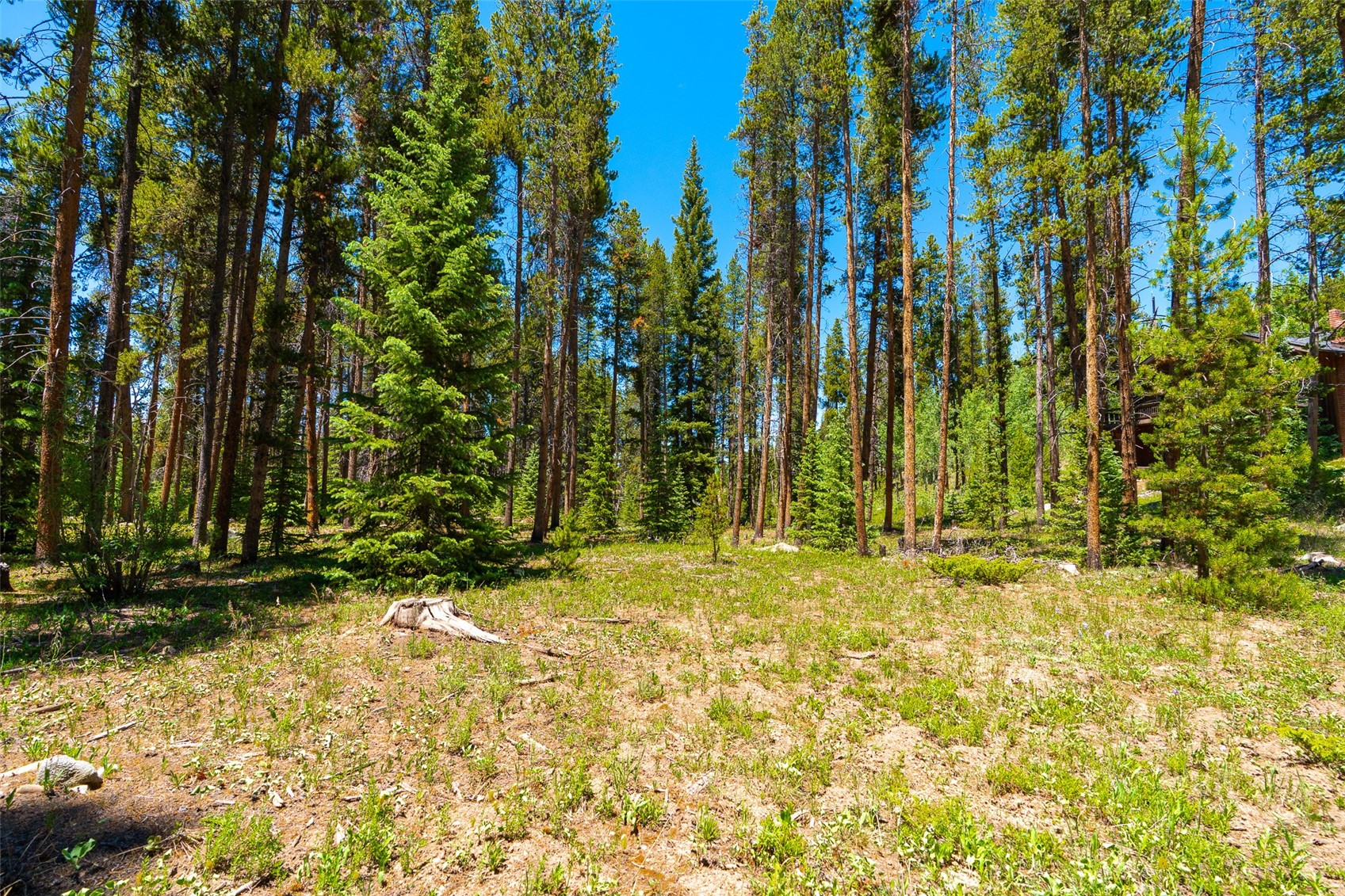 277 Wagon Road Breckenridge CO 80424