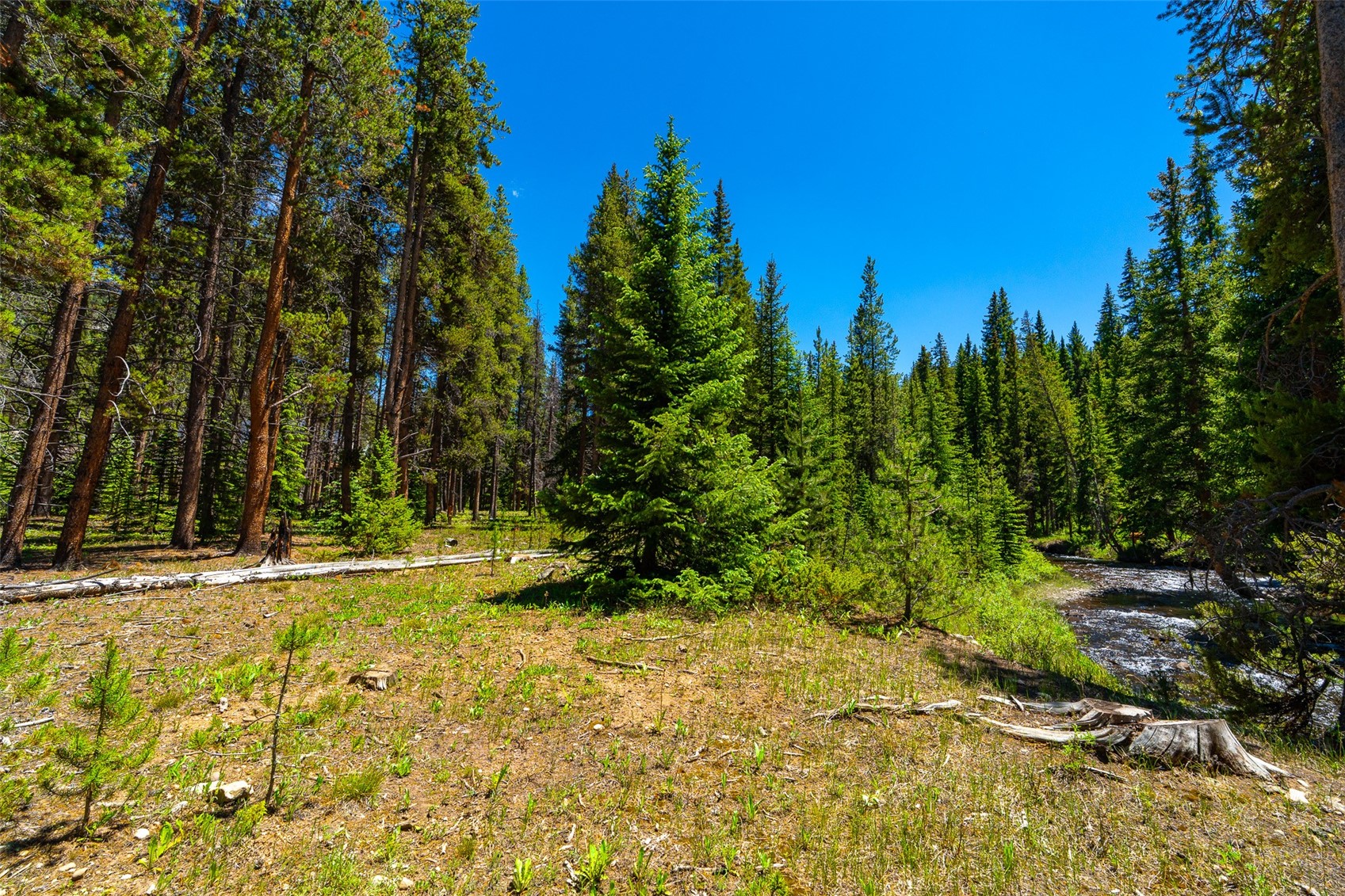 277 Wagon Road Breckenridge CO 80424
