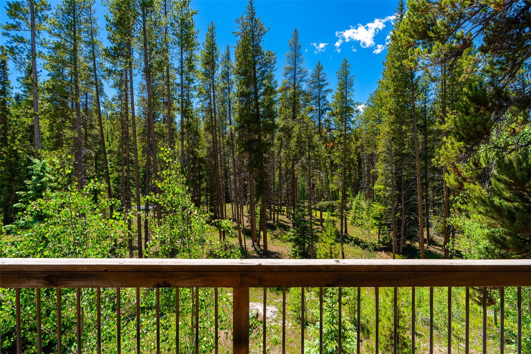 277 Wagon Road Breckenridge CO 80424