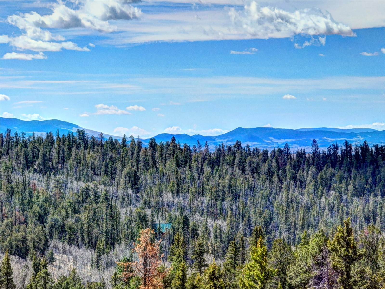 1479 Ouray Trail Como CO 80432