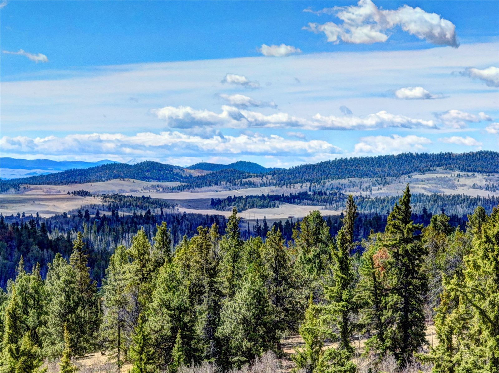 1479 Ouray Trail Como CO 80432