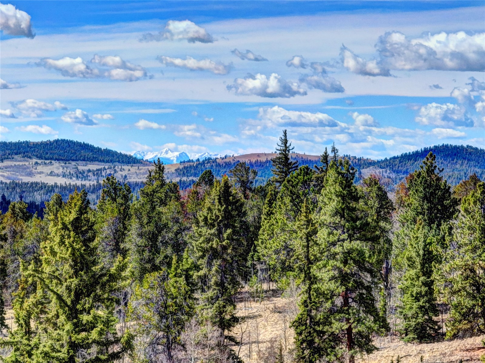 1479 Ouray Trail Como CO 80432
