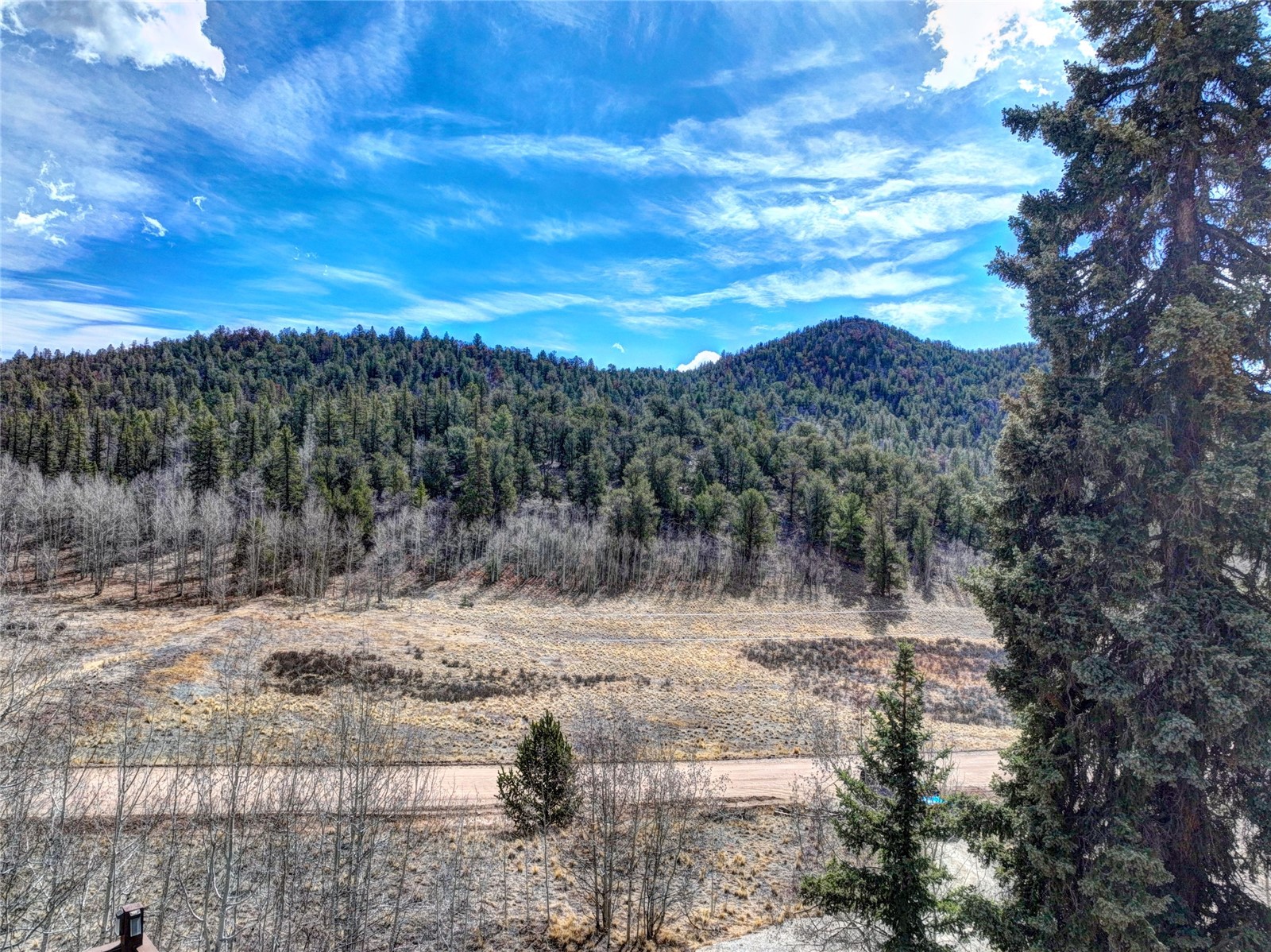 1479 Ouray Trail Como CO 80432