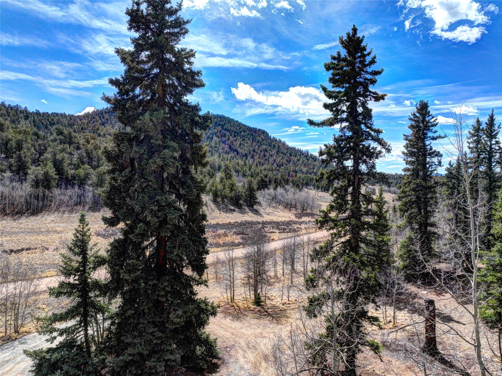 1479 Ouray Trail Como CO 80432