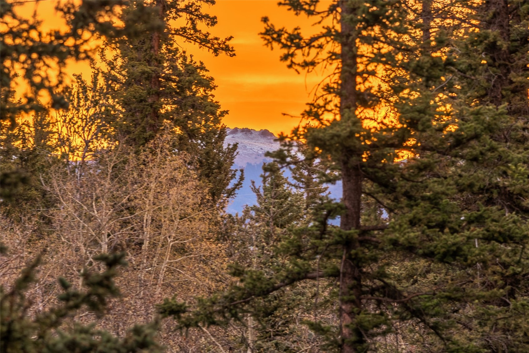 1106 Wampum Lane Como CO 80432