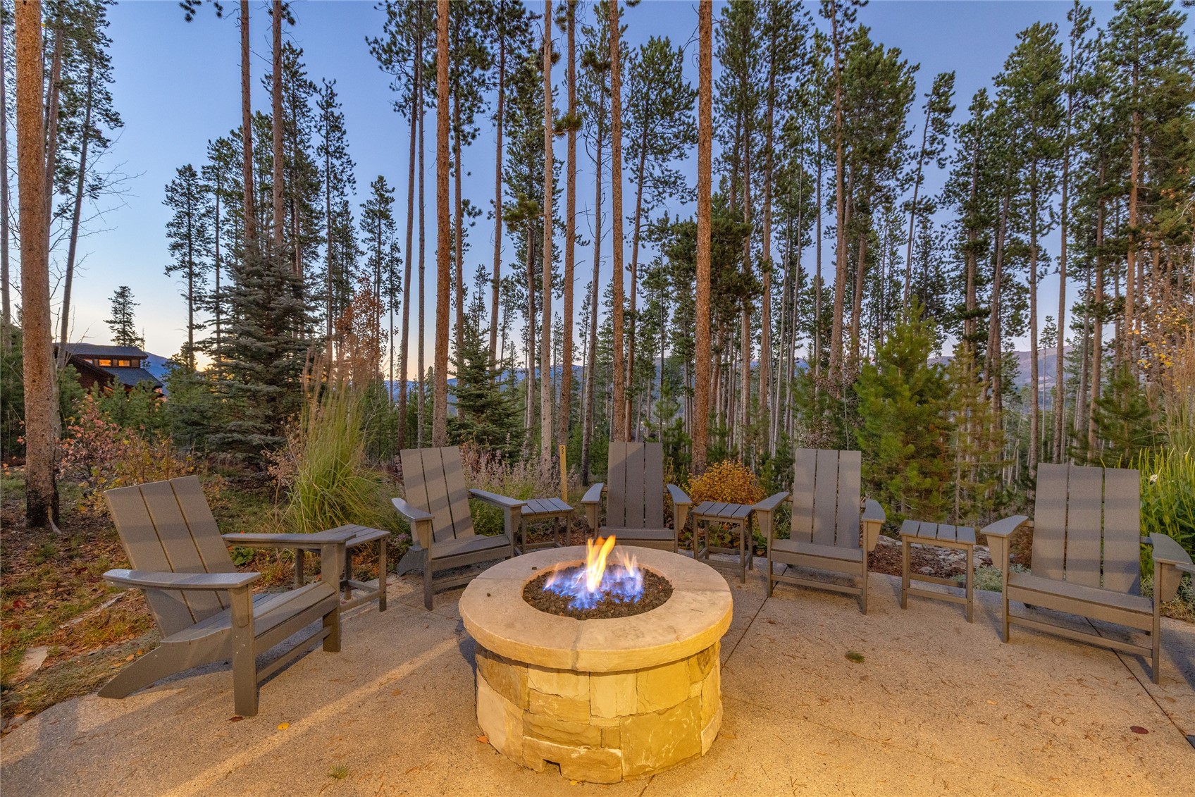 485 Golden Age Drive Breckenridge CO 80424