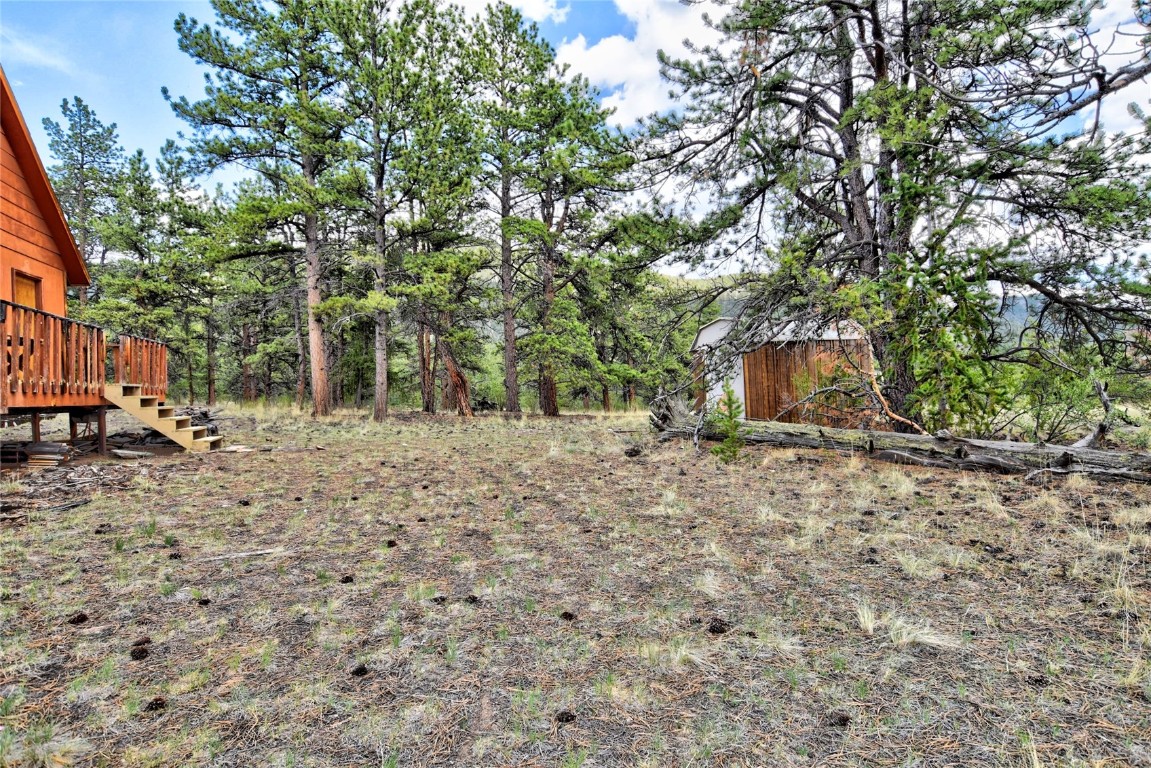 490 Teller Street Lake George CO 80827