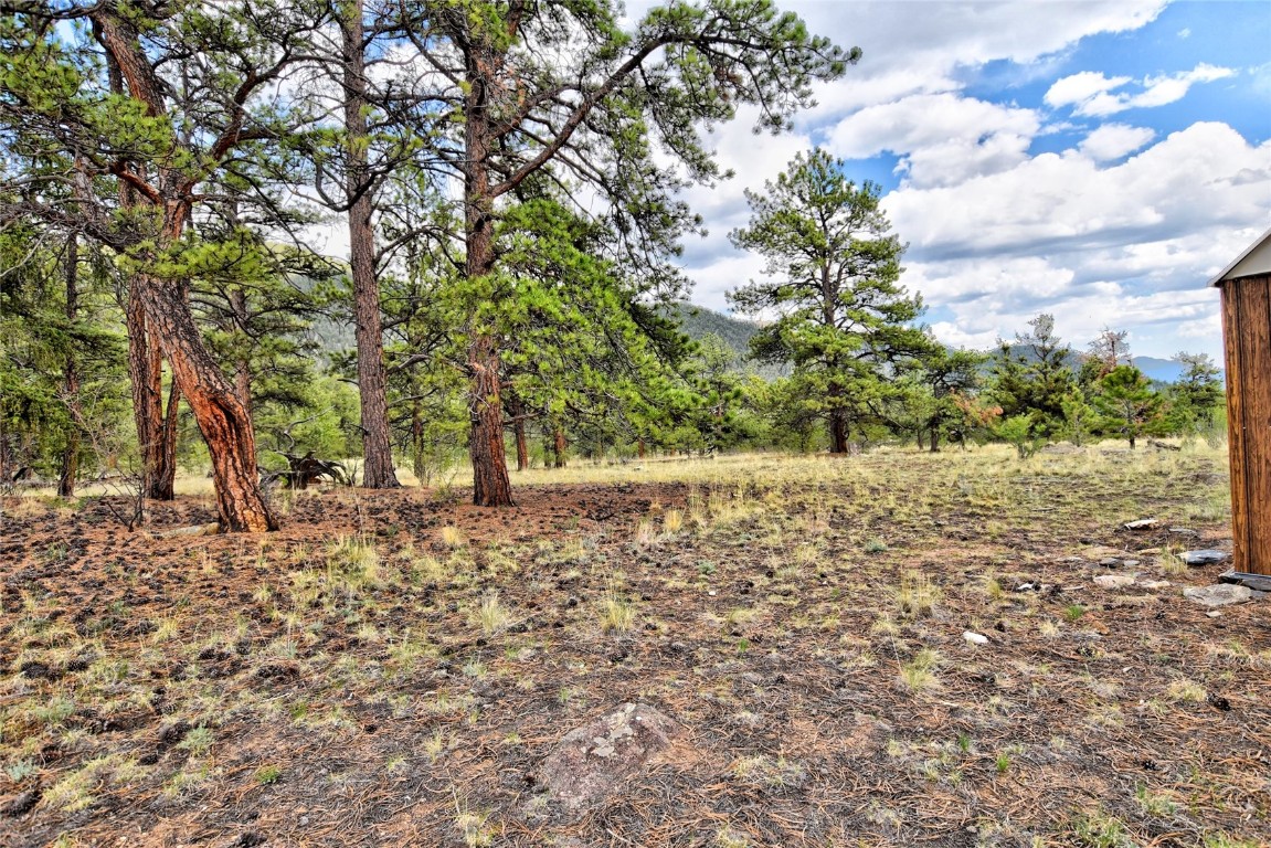 490 Teller Street Lake George CO 80827
