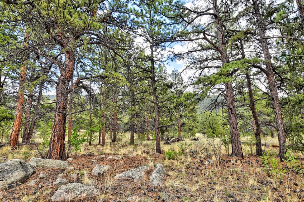 490 Teller Street Lake George CO 80827