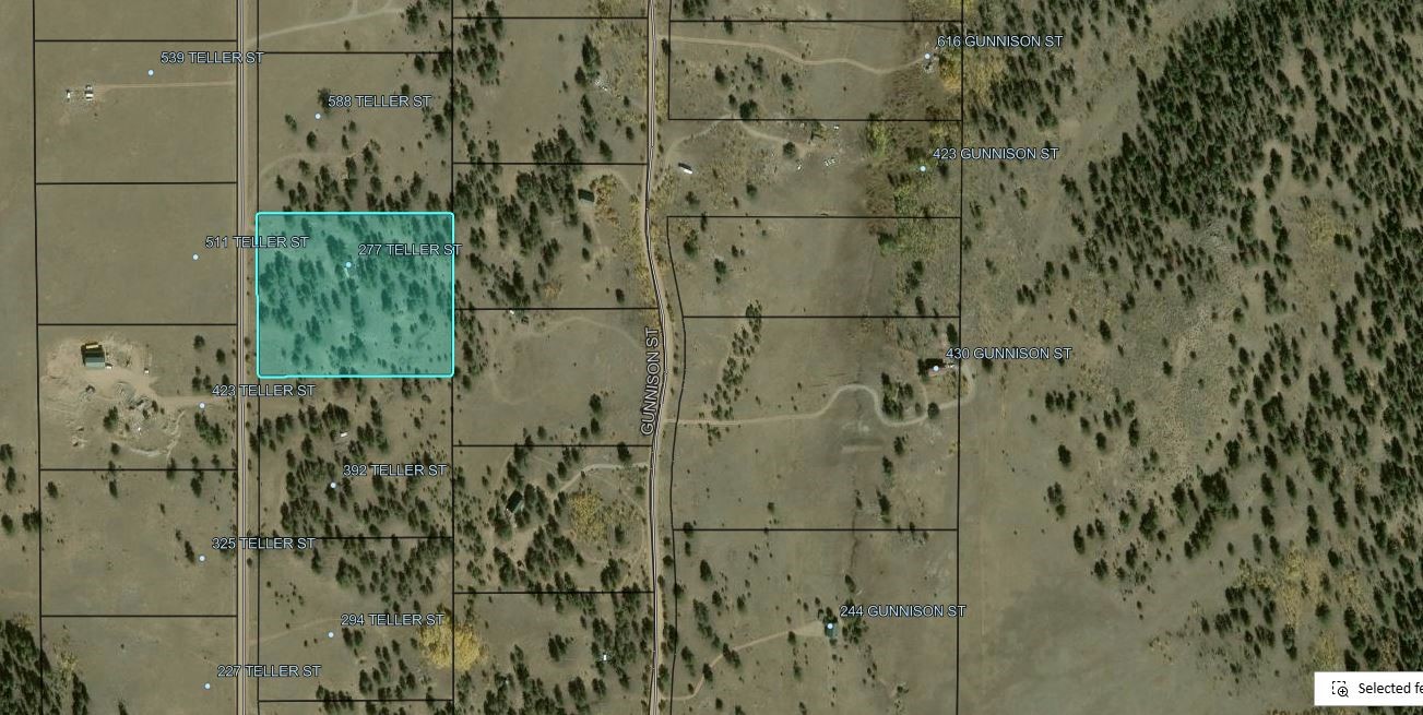 490 Teller Street Lake George CO 80827