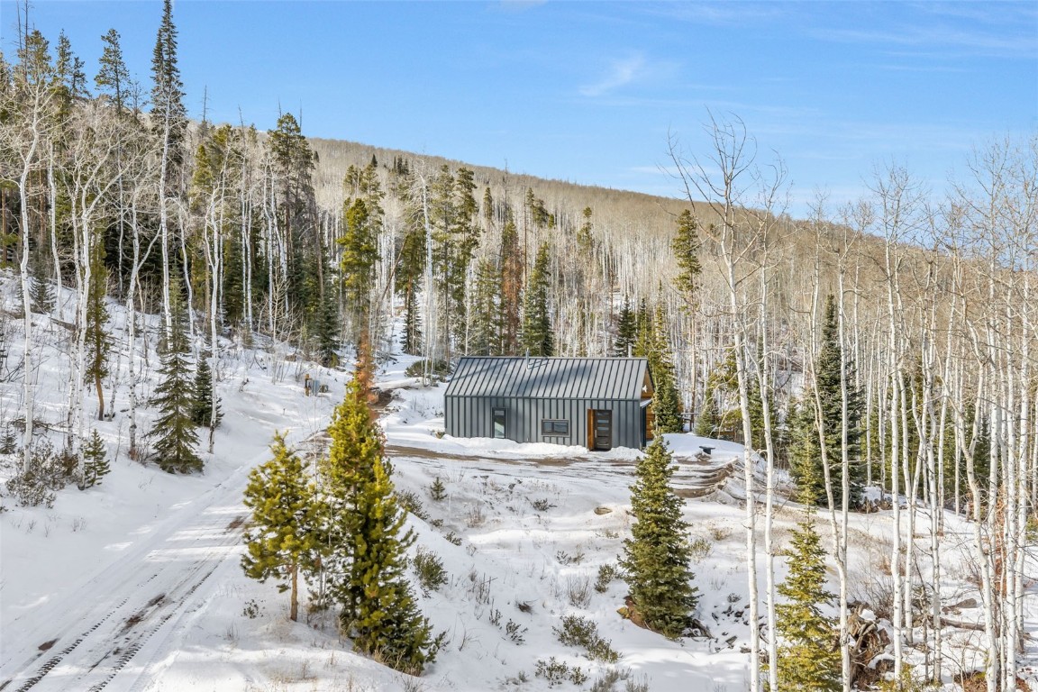 24700 Lone Tooth Trail Oak Creek CO 80467