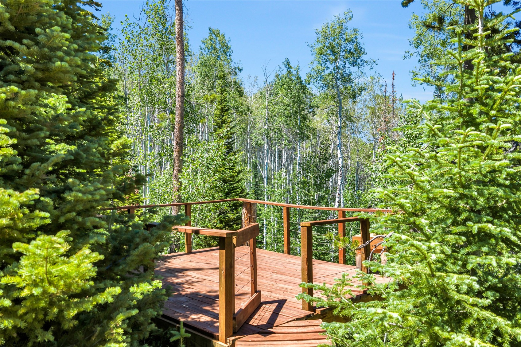 24700 Lone Tooth Trail Oak Creek CO 80467