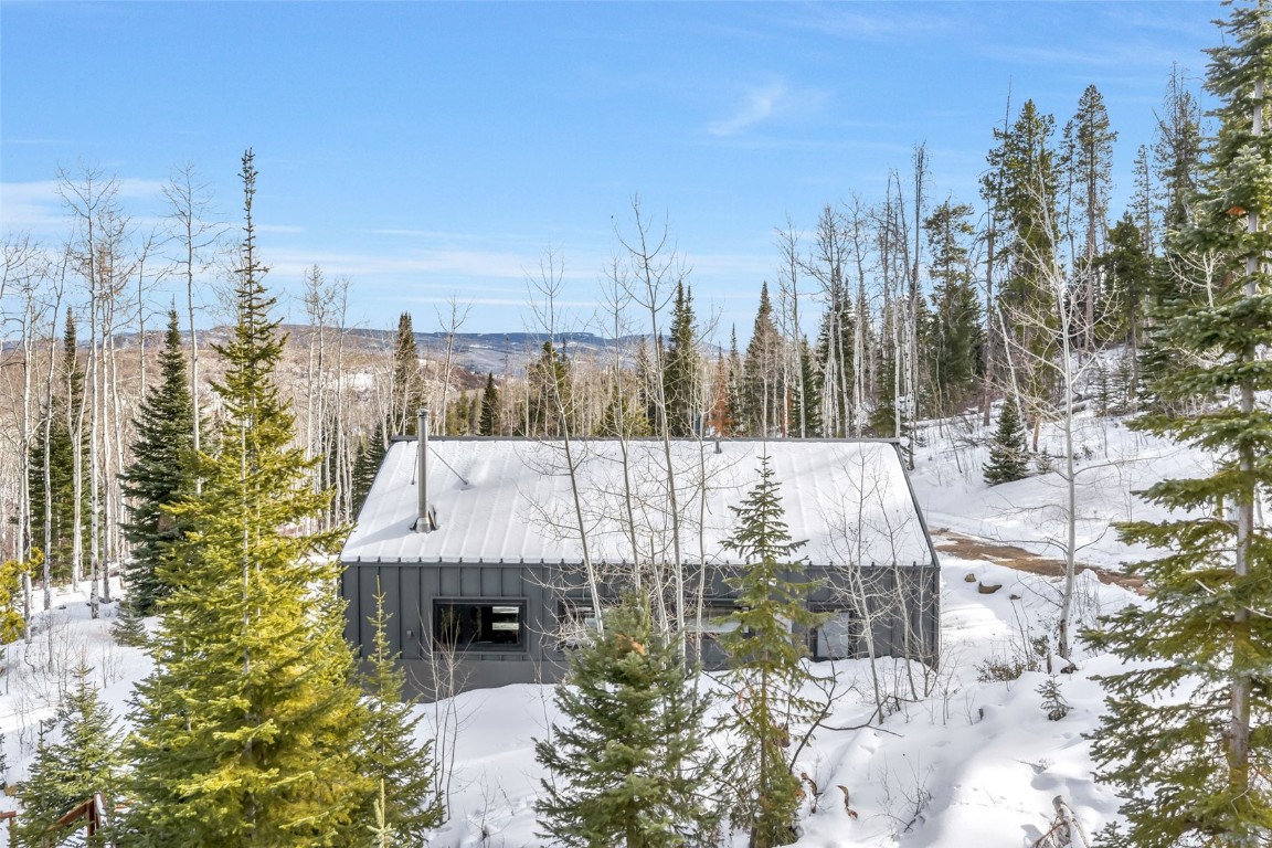 24700 Lone Tooth Trail Oak Creek CO 80467