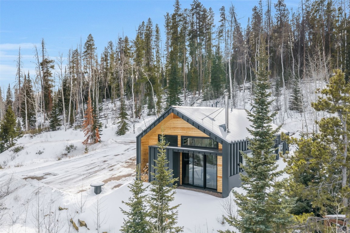 24700 Lone Tooth Trail Oak Creek CO 80467