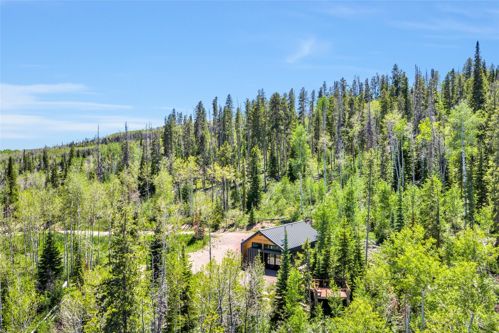 24700 Lone Tooth Trail Oak Creek CO 80467