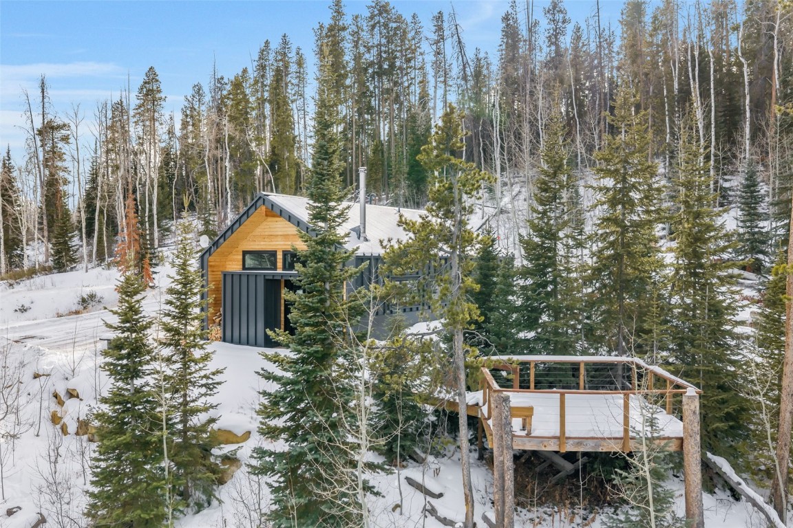 24700 Lone Tooth Trail Oak Creek CO 80467