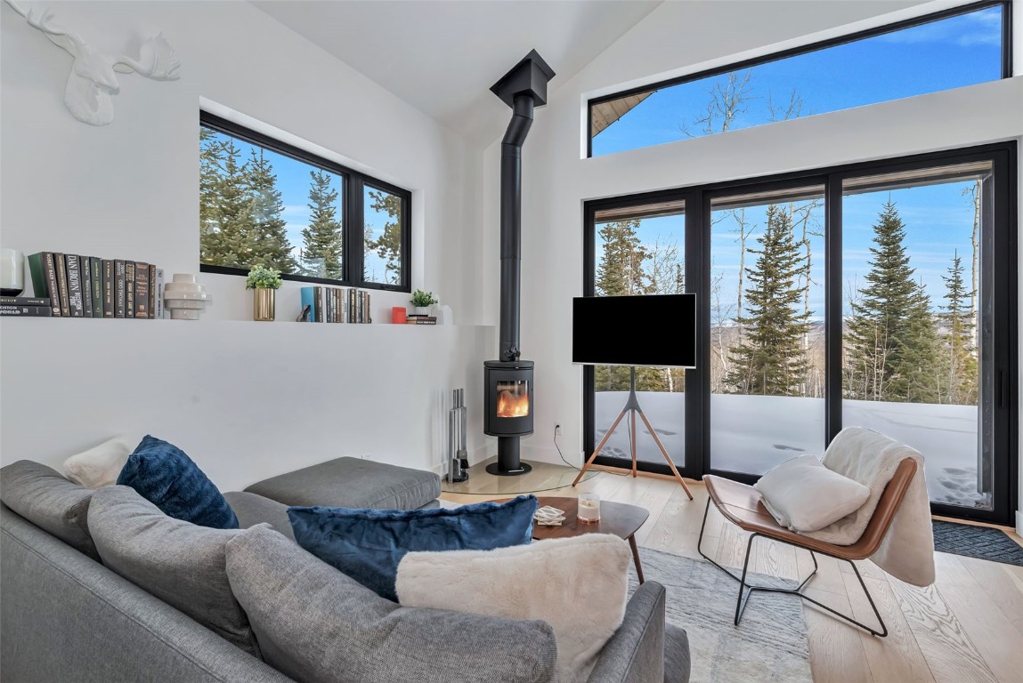 24700 Lone Tooth Trail Oak Creek CO 80467