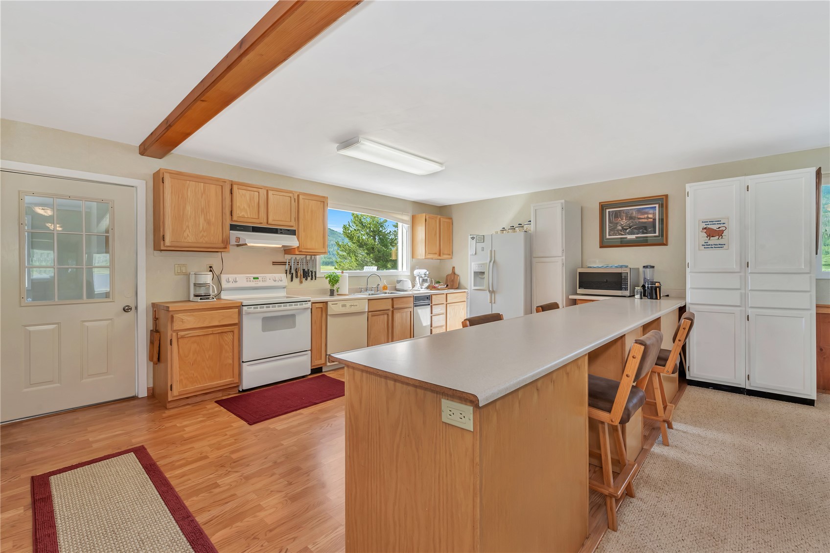 28400 County Road 209a Clark CO 80487