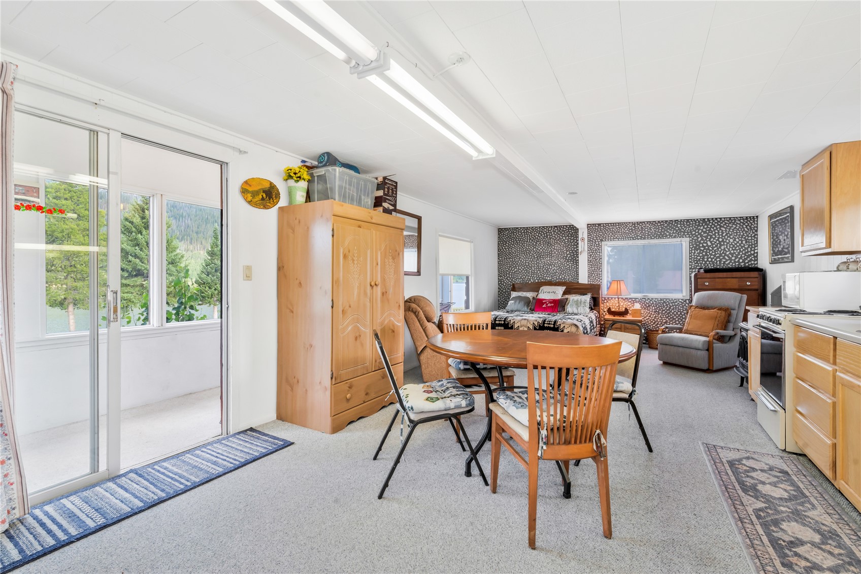 28400 County Road 209a Clark CO 80487