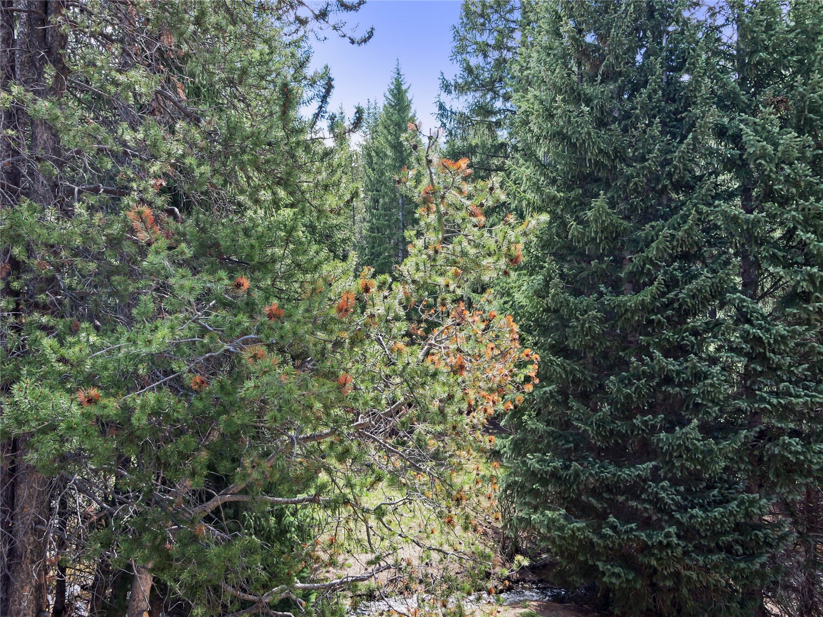 75 Alcove Court Keystone CO 80435