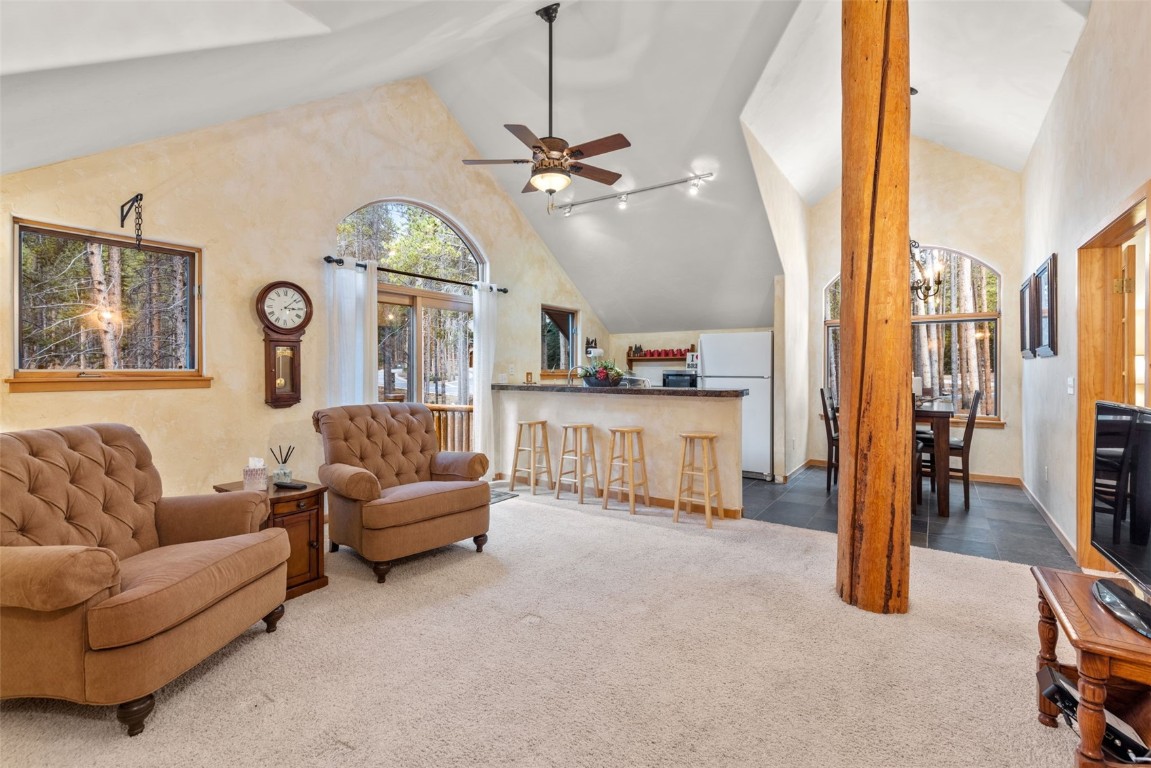 211 Tarnwood Drive Breckenridge CO 80424