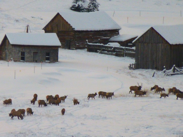 2260 Keystone Ranch Road Keystone CO 80435