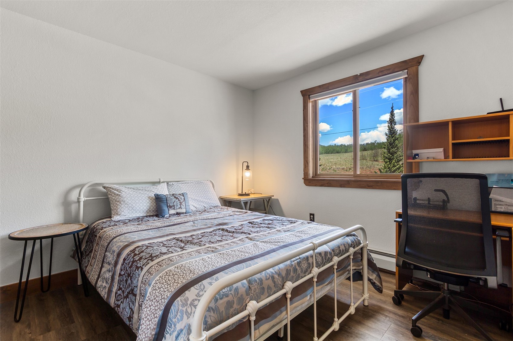 36 Iron Mountain Road Fairplay CO 80440