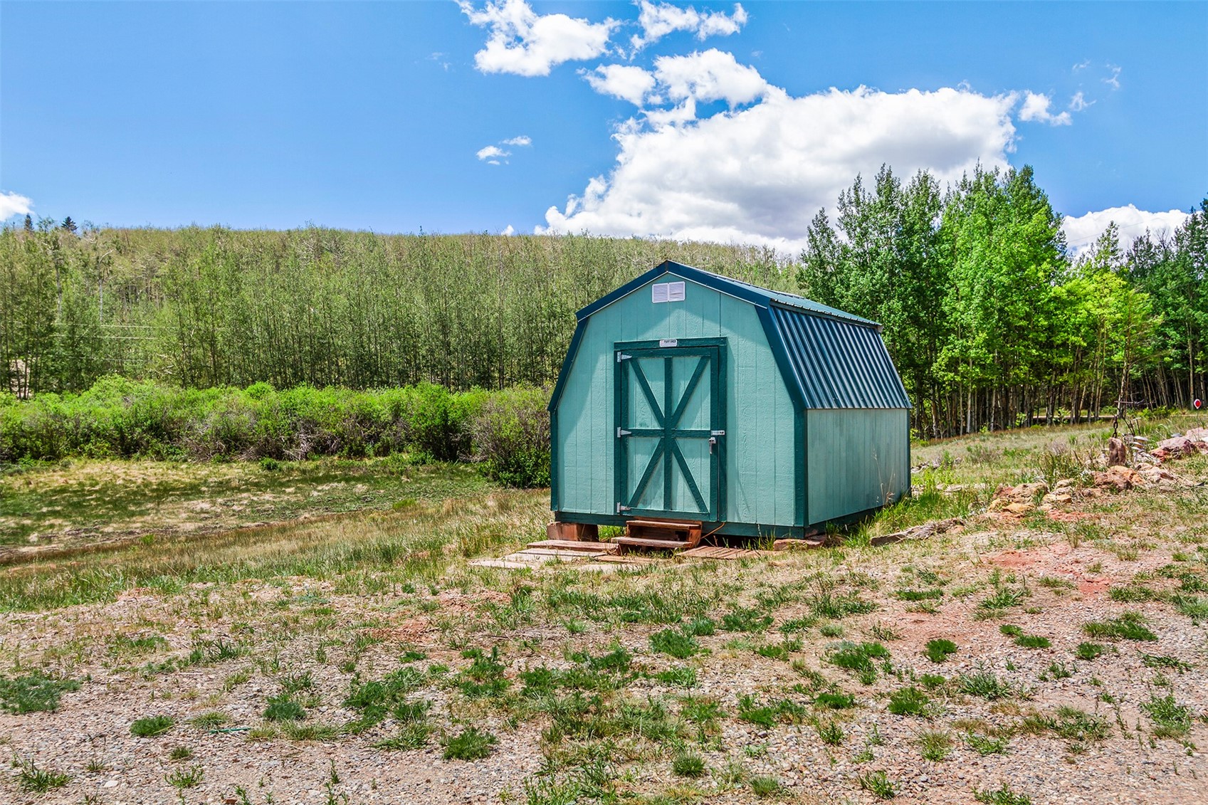 36 Iron Mountain Road Fairplay CO 80440