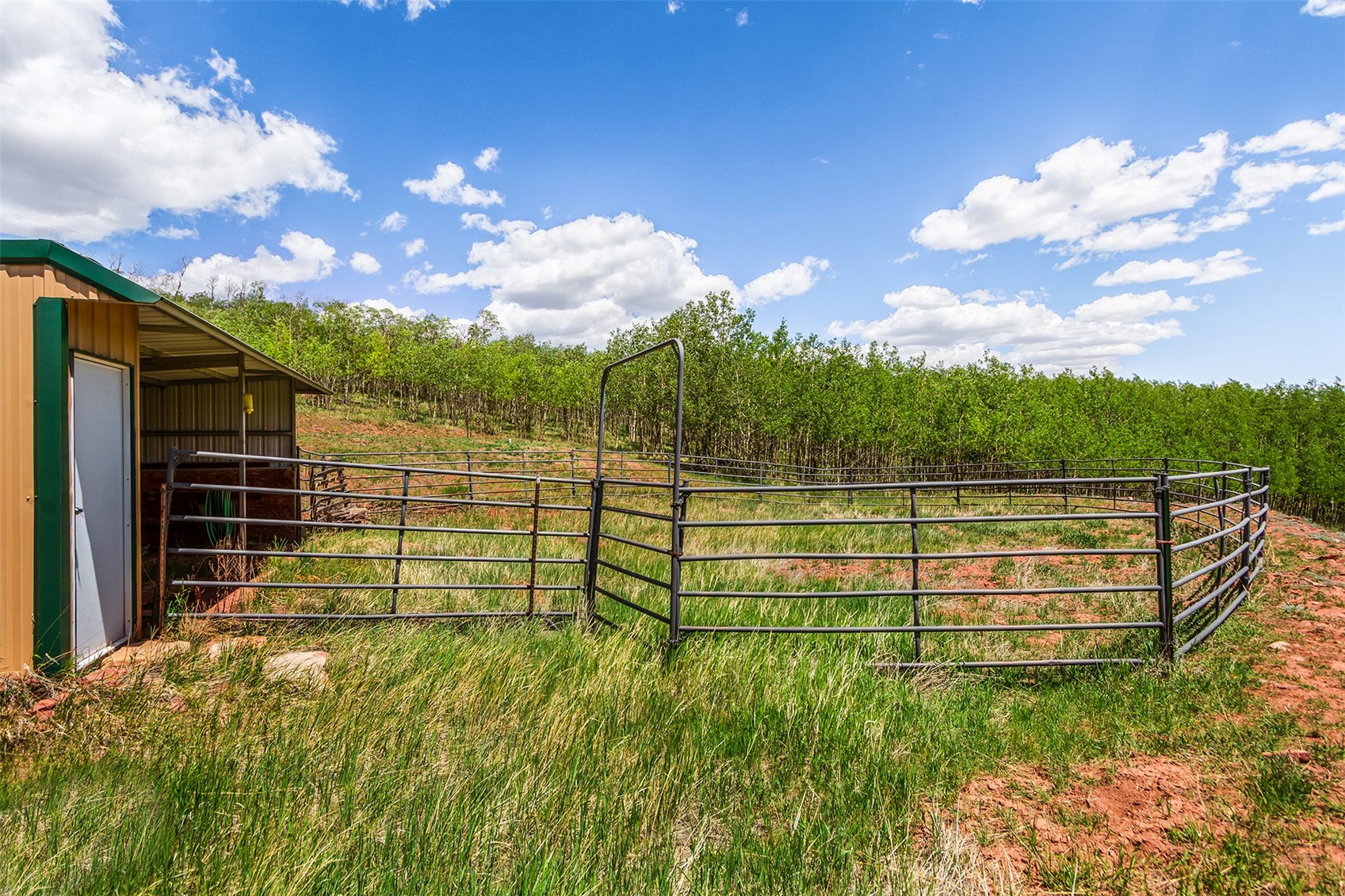 36 Iron Mountain Road Fairplay CO 80440