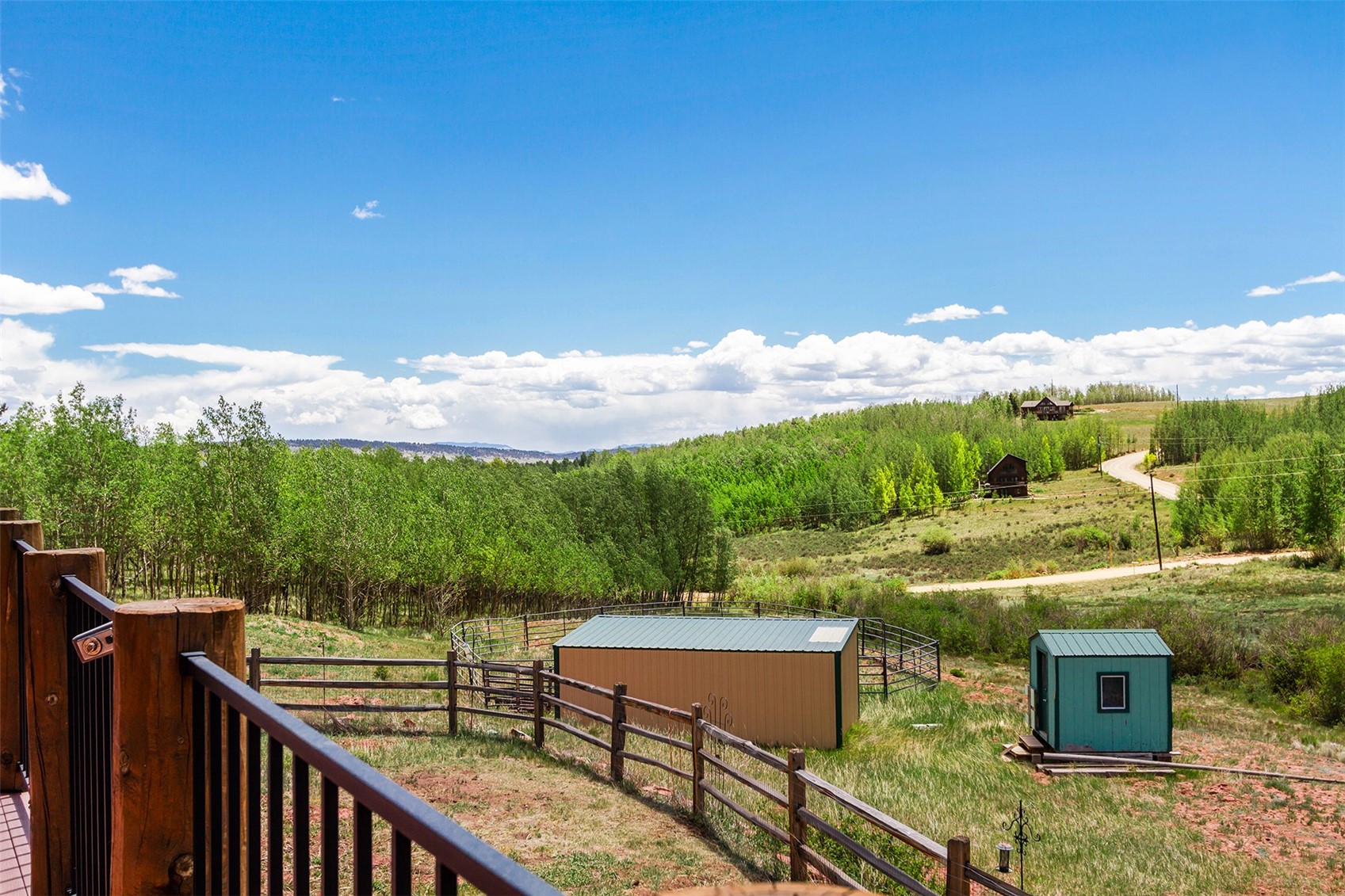 36 Iron Mountain Road Fairplay CO 80440