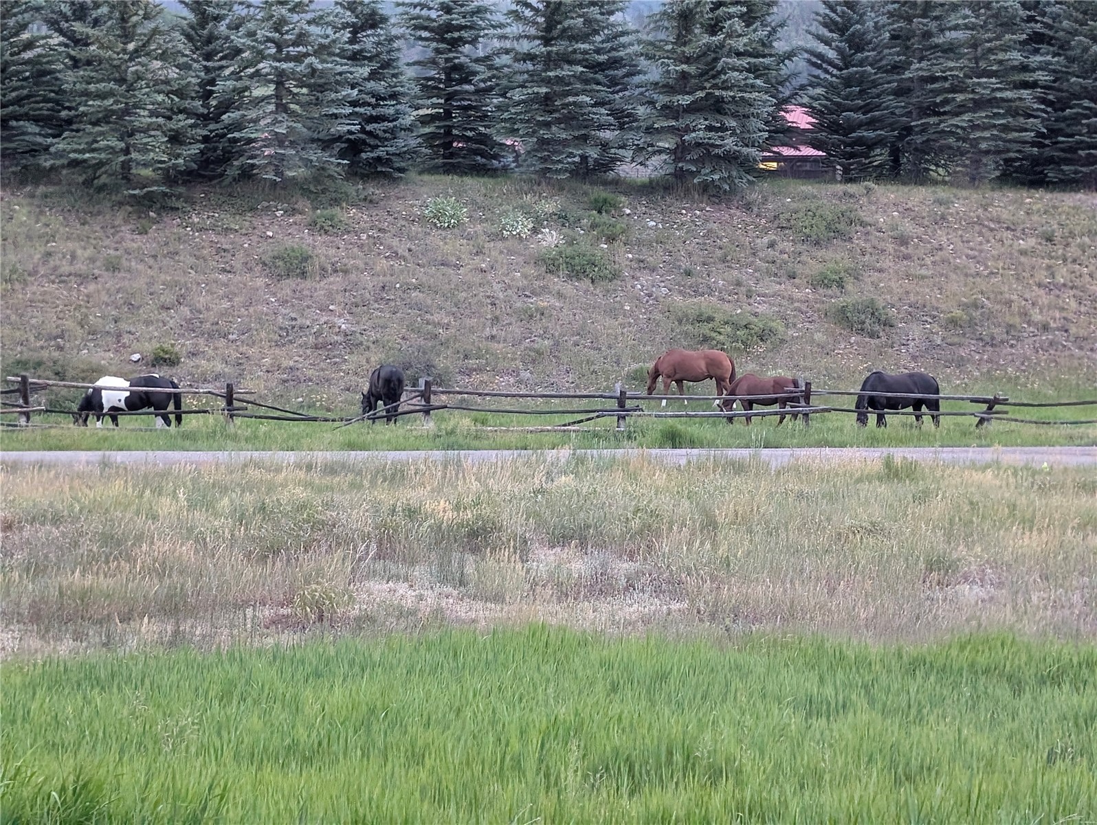 837 Sage Creek Canyon Drive Silverthorne CO 80498